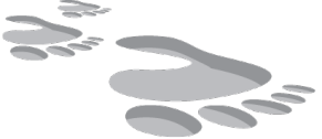 Resume Footprint